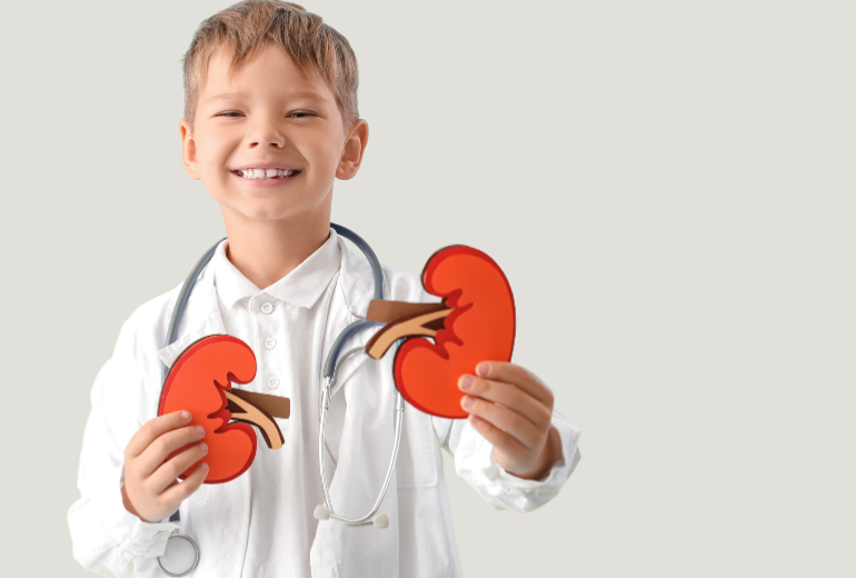 Lächelndes Kind im Arztkittel mit Stethoskop hält zwei illustrative Nieren in den Händen.